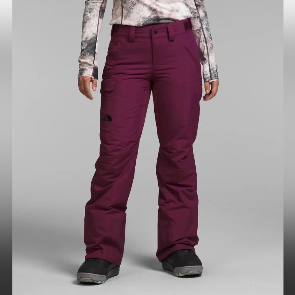 Size LONG Freedom Insulated Ski Pants in Boysenberry